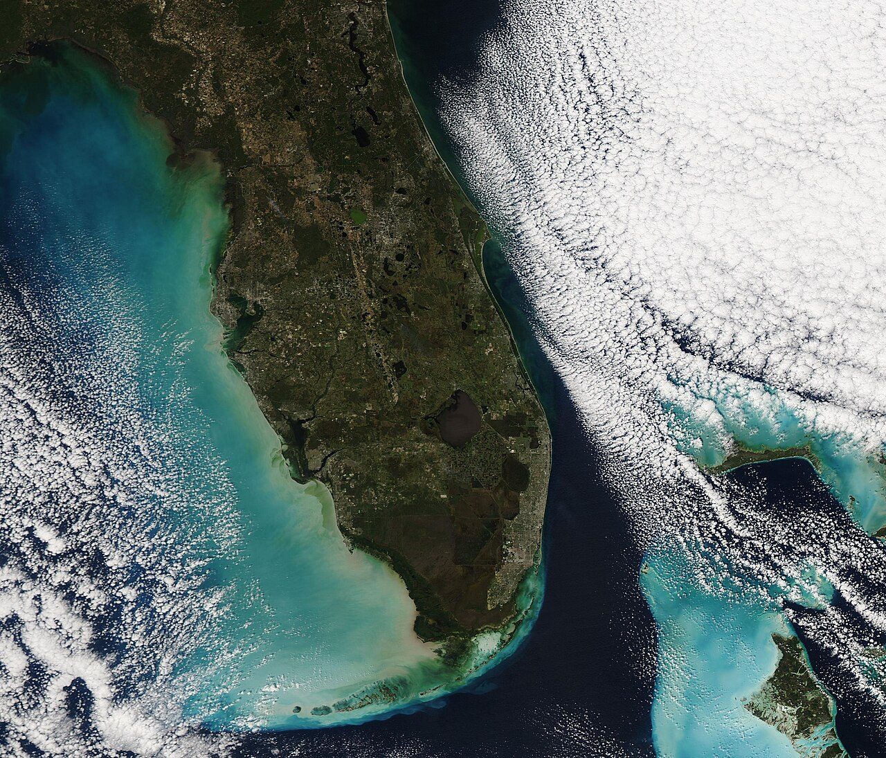 Satellite view of the Florida peninsula and its Gulf Coast from space, turquoise water tracing the shoreline